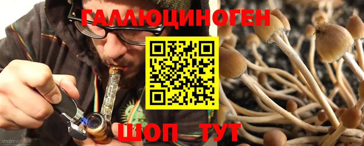 Галлюциногенные грибы Cubensis Кинешма